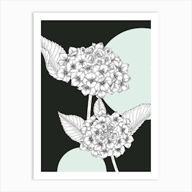 Hydrangea Art Print