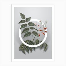 Vintage Tree of Heaven Minimalist Flower Geometric Circle on Soft Gray n.0119 Art Print
