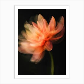 Dahlia Flower Art Print