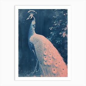 Peacock In The Leaves Cyanotype Inspired 5 Art Print