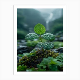 Water Droplets On A Leaf Art Print