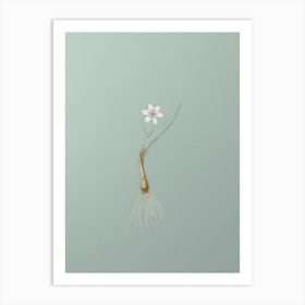 Vintage Snowdon Lily Botanical Art on Mint Green n.0473 Art Print