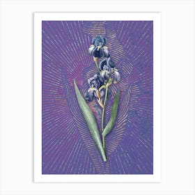 Vintage Dalmatian Iris Botanical Illustration on Veri Peri Art Print