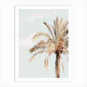 Sun Drenched Palm Tree Art Print