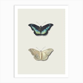 Butterflies Farmhouse Art Print