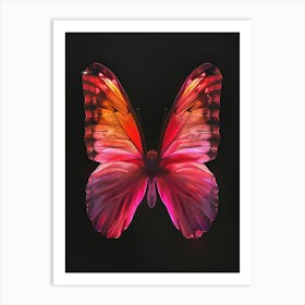 Butterfly 14 Art Print