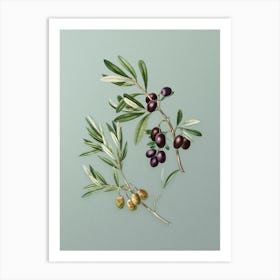Vintage Olive Botanical Art on Mint Green n.0426 Art Print