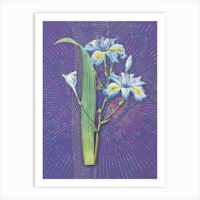 Vintage Butterfly Flower Iris Fimbriata Botanical Illustration on Veri Peri n.0945 Art Print