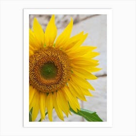 Floral yellow sunflower - summer flower nature and travel photography by Christa Stroo Photography Art Print