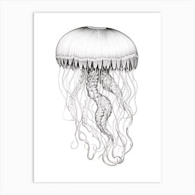 Mauve Stinger Jellyfish Drawing 2 Art Print