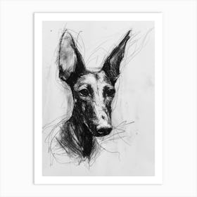 Ibizan Hound Dog Charcoal Line 2 Art Print