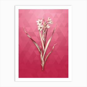 Vintage Sword Lily Botanical in Gold on Viva Magenta n.0285 Art Print