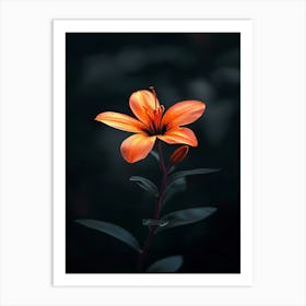 Orange Lily 4 Poster