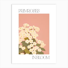 Primroses In Bloom Flowers Bold Illustration 1 Art Print