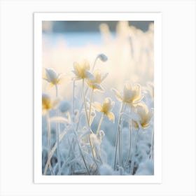 Frosty Botanical Winter Aconite 3 Art Print