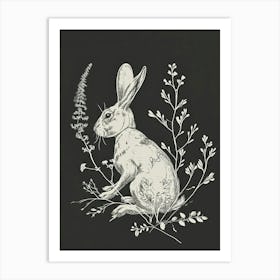 Blanc De Hotot Rabbit Minimalist Illustration 1 Art Print