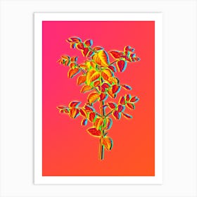 Neon Tree Fuchsia Botanical in Hot Pink and Electric Blue n.0186 Art Print