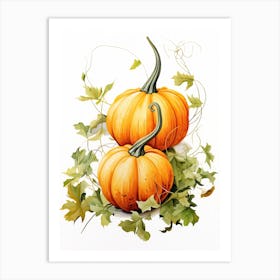 Jarrahdale Pumpkin Watercolour Illustration 4 Art Print