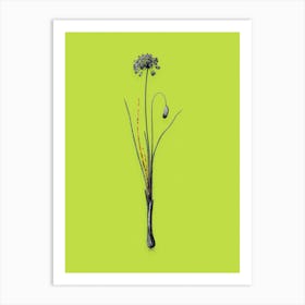Vintage Autumn Onion Black and White Gold Leaf Floral Art on Chartreuse n.0595 Art Print