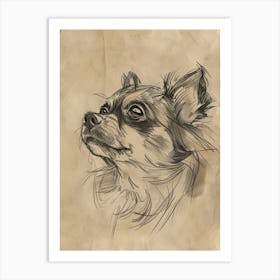 Tibetan Spaniel Dog Charcoal Line 4 Art Print