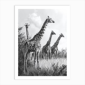 Pencil Portrait Herd Of Giraffes In The Wild  1 Art Print