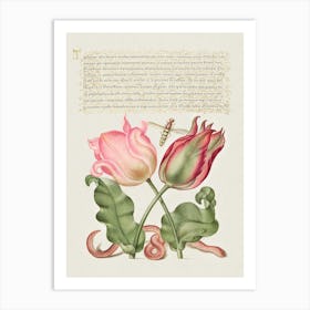 Tulips, Insect, And Worm From Mira Calligraphiae Monumenta Or The Model Book Of Calligraphy, Joris Hoefnagel Art Print