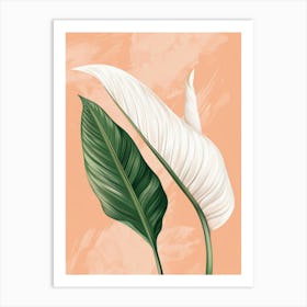 White Lily 1 Art Print