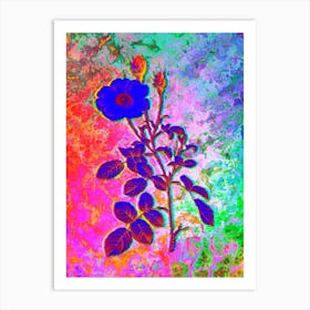 Sparkling Rose Botanical in Acid Neon Pink Green and Blue Art Print