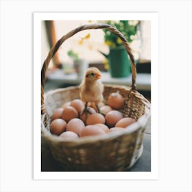 Chicken In A Basket Art Print