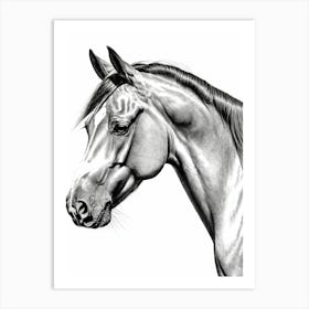 Highly Detailed Pencil Sketch Portrait of Horse with Soulful Eyes 6 Art Print