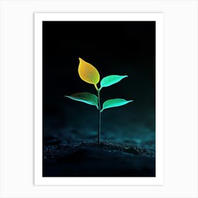 Green Leaf On The Ground Art Print