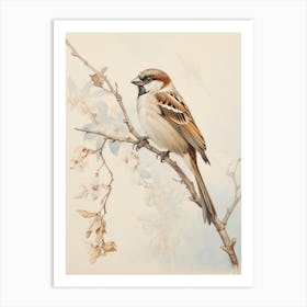 Vintage Bird Drawing House Sparrow 2 Art Print