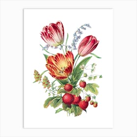 Tulips And Strawberries Art Print