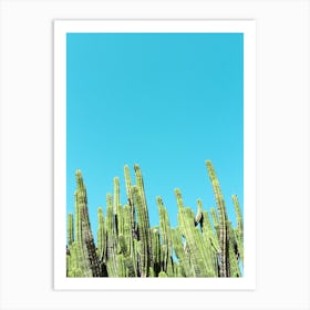 Cactus Pipes Art Print