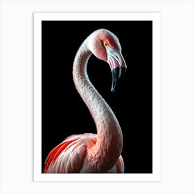 Wild Animal Creative Portrait 71 Art Print