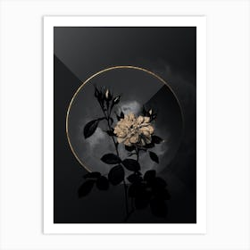 Shadowy Vintage Autumn Damask Rose Botanical in Black and Gold n.0070 Art Print