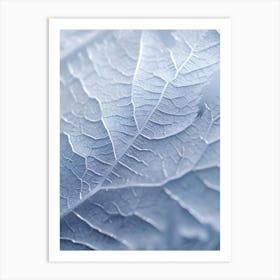 Frosty Leaf 2 Art Print