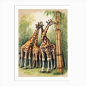 Giraffes 2 Art Print