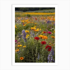 Wildflowers In The Field Art Print