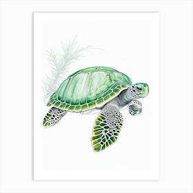 Green Sea Turtle (Chelonia Mydas), Sea Turtle Quentin Blake Illustration 2 Art Print