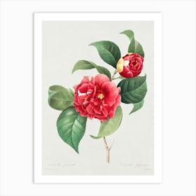 Choice Of The Most Beautiful Flowers And The Most Beautiful Fruits, Pierre Joseph Redoute Art Print