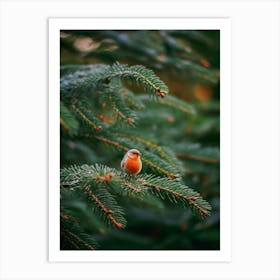 Robin In The Trees Art Print