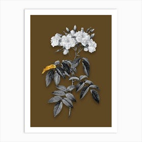 Vintage Musk Rose Black and White Gold Leaf Floral Art on Coffee Brown n.0769 Art Print