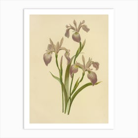 Iris Stock Videos & Royalty-Free Footage Art Print