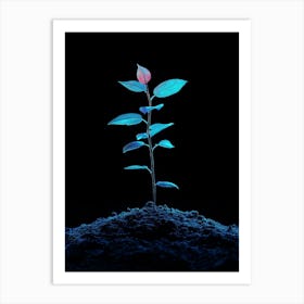 Plant Growing In The Dark 25 Art Print