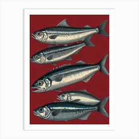 Sardines 4 Art Print