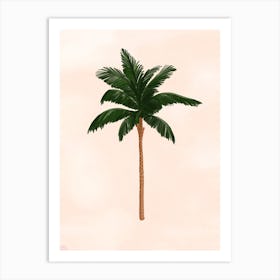 Palm Tree  Art Print