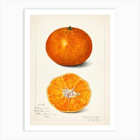 Tangerine 1 Art Print