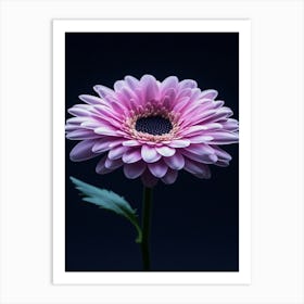 Pink Gerbera Flower 6 Art Print