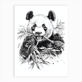 Giant Panda Eating Bamboo Ink Illustration 1 Art Print